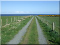 Farm track (footpath), Sea Houses