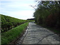 Minor road towards Oldhamstocks