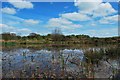 Wetley Moor Common