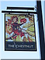 Pub Sign at The Chestnut