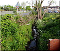 Unnamed stream enters a culvert, Little Stoke