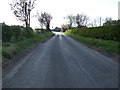 NU2411 : Minor road into Lesbury by JThomas