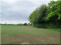 Woodland  flat  field  and  Manor  House  Farm