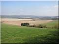 Chiltern View, Bledlow Ridge