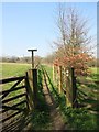 The Chiltern Way, Bledlow Ridge