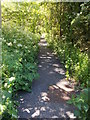 Footpath - off Glendale - looking towards Hawkingcroft Road