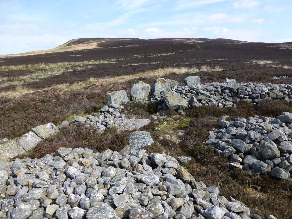 Blawearie Bronze Age cairn looking north © Russel Wills :: Geograph ...