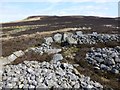 NU0822 : Blawearie Bronze Age cairn looking north by Russel Wills