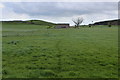 Footpath heading towards Top Barn