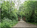 TQ2796 : Path Leading to Bridge over Pymmes Brook, Hadley Wood, Barnet, Hertfordshire by Christine Matthews