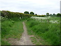 Westcott:  Footpath looking east