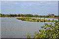 The island on Grimsargh Reservoir