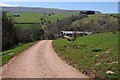 SO2737 : Farm road to Abbey Farm by Philip Halling