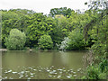 TQ2796 : Lake, Hadley Wood, Barnet, Hertfordshire by Christine Matthews