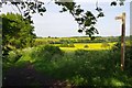 Footpath to Beacon Hill