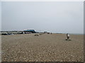 SZ8393 : Shingle Beach by Peter Holmes