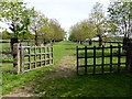 Butts Avenue, Kentwell Hall