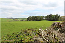 NX7659 : Farmland at Halmyre by Billy McCrorie