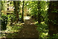 View of the rear of flats on Lulot Gardens from Highgate Cemetery #3