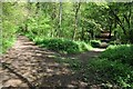 Bridleway in Bourton Woods