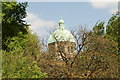TQ2887 : View of the green dome of St. Joseph's Church from Waterlow Park by Robert Lamb