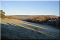 Frosty field, Langton Matravers