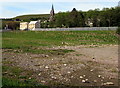 Greening of waste land formerly part of Ebbw Vale steelworks