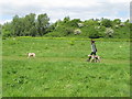 Wormwood Scrubs with dog walker