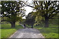 Track through Brough Park