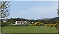 Forest edge houses at Rourke