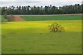 Colours in a Cotswold Landscape