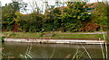 Canal landing stage near Bridgwater YMCA