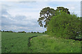 Parish boundary Great Yeldham / Little Yeldham