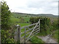 Field gate at Higher Pudsham