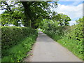 Country Lane near Strift House