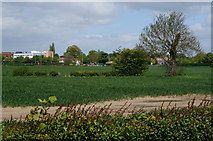 TA0331 : Farmland off Willerby Low Road by Ian S