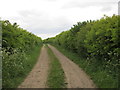 Farm track to Bilby