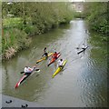 Young canoeists, River Leam by the Pump Room Gardens, Royal Leamington Spa