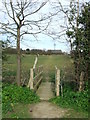 Footbridge And Path