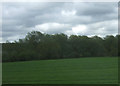 Farmland towards Alder Carr