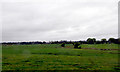 M3674 : Farmland near Claremorris by Robert Ashby