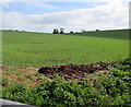 Small mound of brown earth in a green field, Bridstow