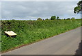 Yellow grit box on a green bank, Bridstow