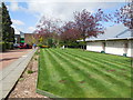NZ2566 : Lawn at Northumberland Club by Paul Gillett