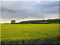 View towards Stainton Wood