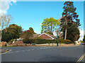 Bungalow and tall trees, corner of High Street and Malthouse Lane, Kenilworth