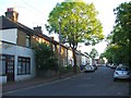 Borden Lane, Chalkwell