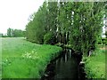 Stream by Marsh Lane, near Teynham