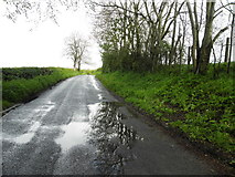 H5472 : Wet along Bracky Road by Kenneth  Allen