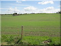 Farmland at Balrobert